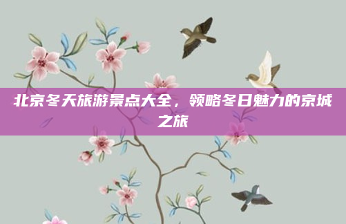 北京冬天旅游景点大全,领略冬日魅力的京城之旅