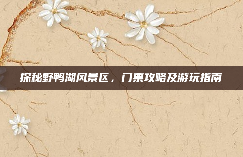 探秘野鸭湖风景区，门票攻略及游玩指南