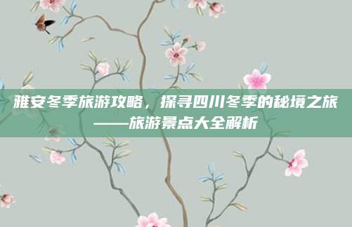 雅安冬季旅游攻略，探寻四川冬季的秘境之旅——旅游景点大全解析