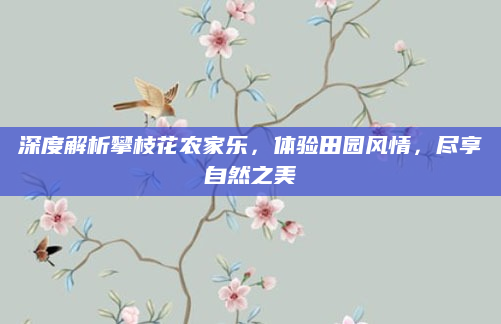 深度解析攀枝花农家乐，体验田园风情，尽享自然之美