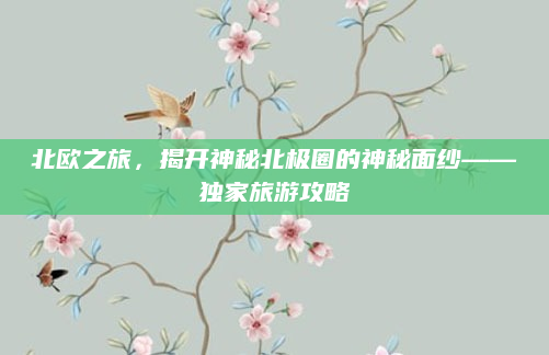北欧之旅，揭开神秘北极圈的神秘面纱——独家旅游攻略