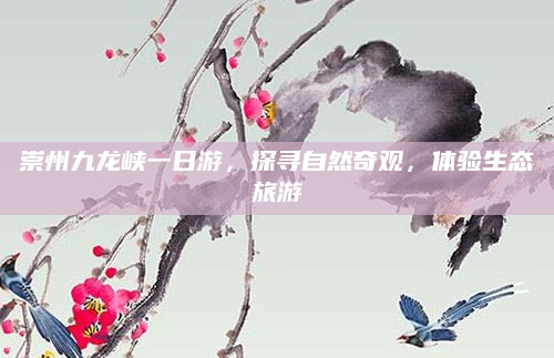 崇州九龙峡一日游，探寻自然奇观，体验生态旅游