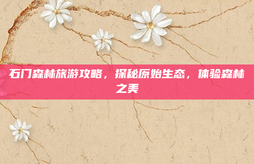 石门森林旅游攻略，探秘原始生态，体验森林之美