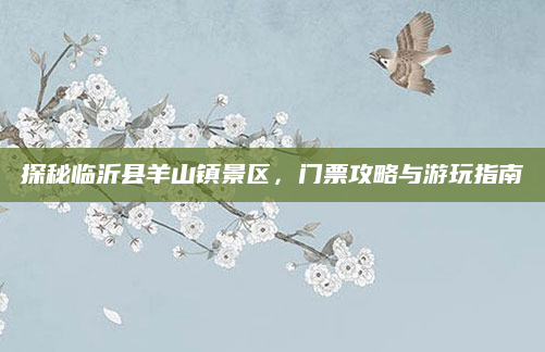 探秘临沂县羊山镇景区，门票攻略与游玩指南