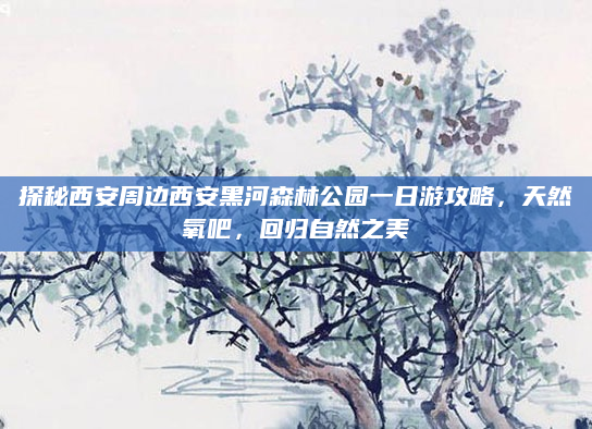 探秘西安周边西安黑河森林公园一日游攻略，天然氧吧，回归自然之美
