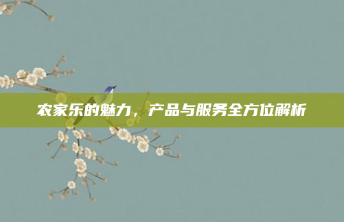 农家乐的魅力，产品与服务全方位解析