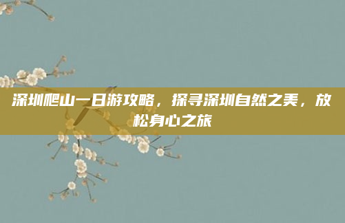 深圳爬山一日游攻略，探寻深圳自然之美，放松身心之旅