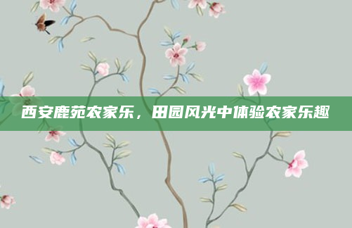西安鹿苑农家乐,田园风光中体验农家乐趣