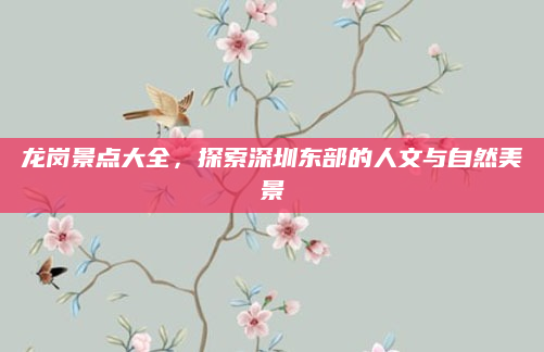 龙岗景点大全，探索深圳东部的人文与自然美景