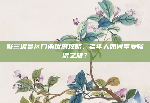 野三坡景区门票优惠攻略，老年人如何享受畅游之旅？