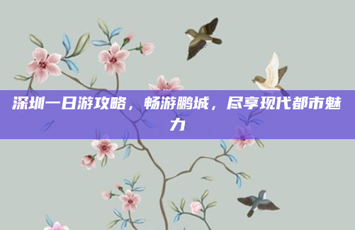 深圳一日游攻略，畅游鹏城，尽享现代都市魅力