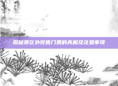 揭秘景区外兜售门票的真相及注意事项