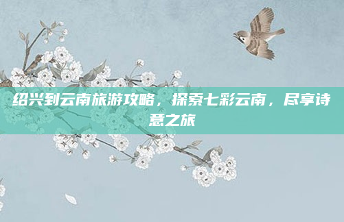 绍兴到云南旅游攻略，探索七彩云南，尽享诗意之旅