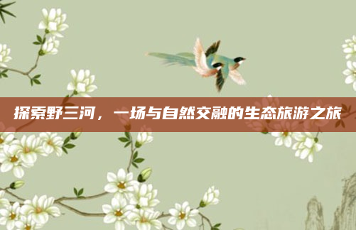 探索野三河，一场与自然交融的生态旅游之旅