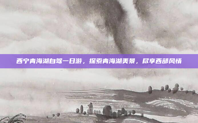 西宁青海湖自驾一日游，探索青海湖美景，尽享西部风情
