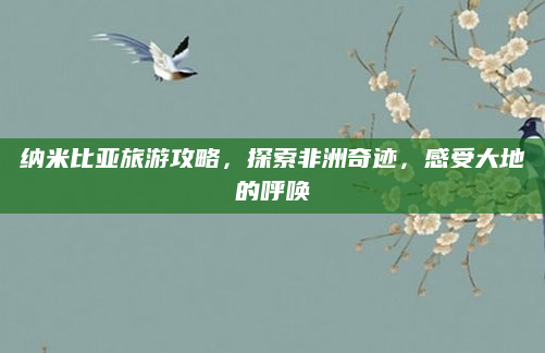 纳米比亚旅游攻略，探索非洲奇迹，感受大地的呼唤