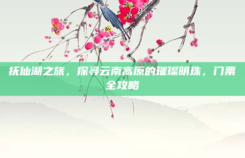 抚仙湖之旅，探寻云南高原的璀璨明珠，门票全攻略