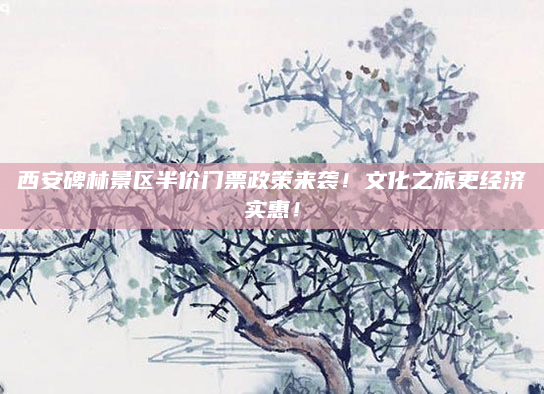 西安碑林景区半价门票政策来袭！文化之旅更经济实惠！