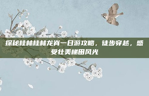 探秘桂林桂林龙脊一日游攻略，徒步穿越，感受壮美梯田风光