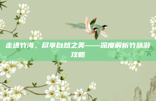 走进竹海，尽享自然之美——深度解析竹旅游攻略