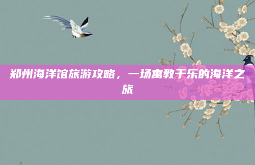 郑州海洋馆旅游攻略,一场寓教于乐的海洋之旅
