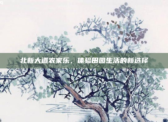 北新大道农家乐,体验田园生活的新选择