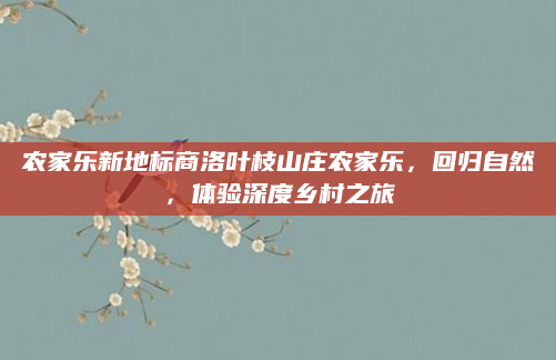 农家乐新地标商洛叶枝山庄农家乐，回归自然，体验深度乡村之旅