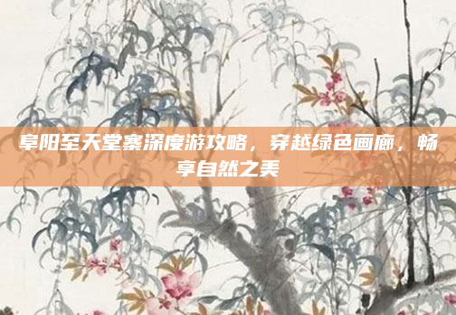 阜阳至天堂寨深度游攻略，穿越绿色画廊，畅享自然之美
