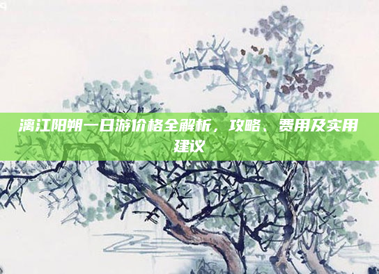 漓江阳朔一日游价格全解析,攻略、费用及实用建议