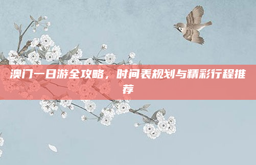 澳门一日游全攻略,时间表规划与精彩行程推荐
