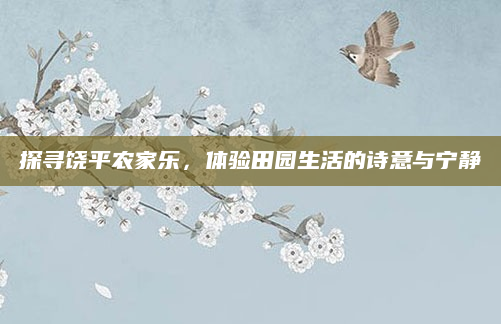 探寻饶平农家乐,体验田园生活的诗意与宁静