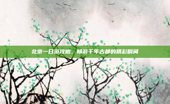 北京一日游攻略,畅游千年古都的精彩瞬间