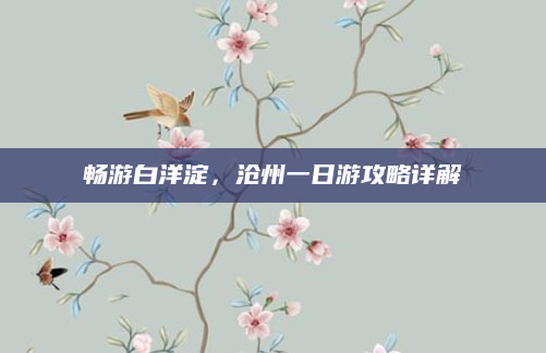 畅游白洋淀，沧州一日游攻略详解