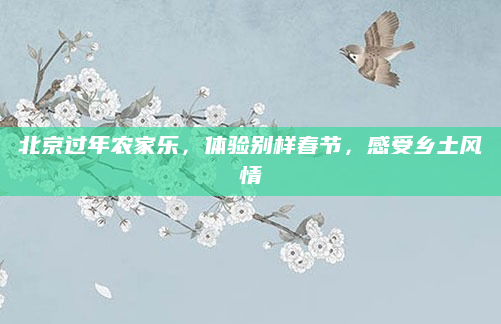北京过年农家乐，体验别样春节，感受乡土风情