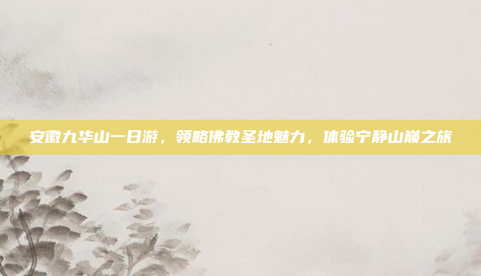 安徽九华山一日游,领略佛教圣地魅力,体验宁静山巅之旅