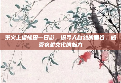 崇义上堡梯田一日游,探寻大自然的画卷,感受农耕文化的魅力
