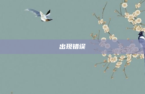 出现错误