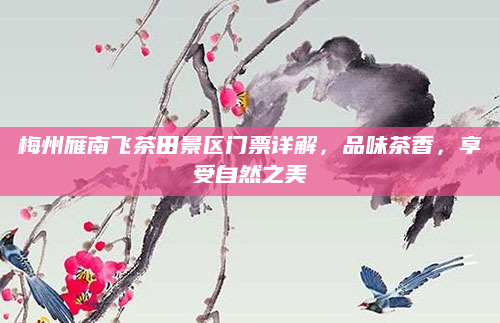 梅州雁南飞茶田景区门票详解,品味茶香,享受自然之美