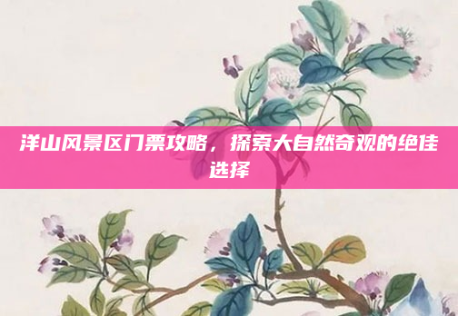 洋山风景区门票攻略,探索大自然奇观的绝佳选择