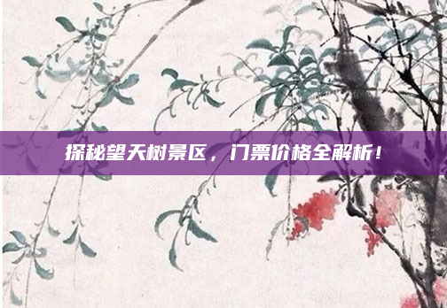 探秘望天树景区,门票价格全解析!