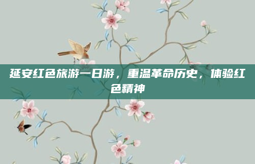 延安红色旅游一日游,重温革命历史,体验红色精神