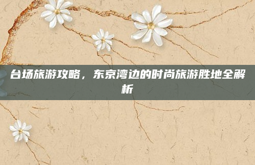 台场旅游攻略，东京湾边的时尚旅游胜地全解析