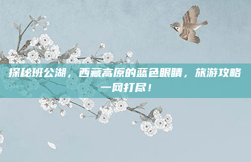探秘班公湖,西藏高原的蓝色眼睛,旅游攻略一网打尽!