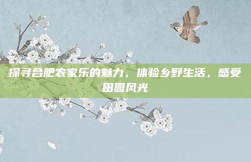 探寻合肥农家乐的魅力,体验乡野生活,感受田园风光