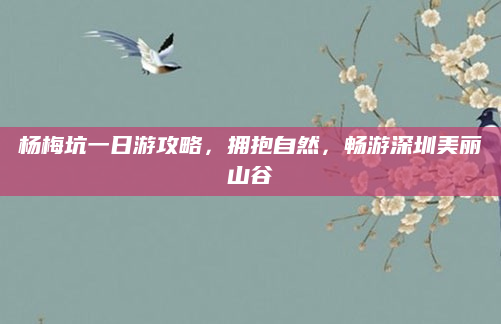杨梅坑一日游攻略,拥抱自然,畅游深圳美丽山谷