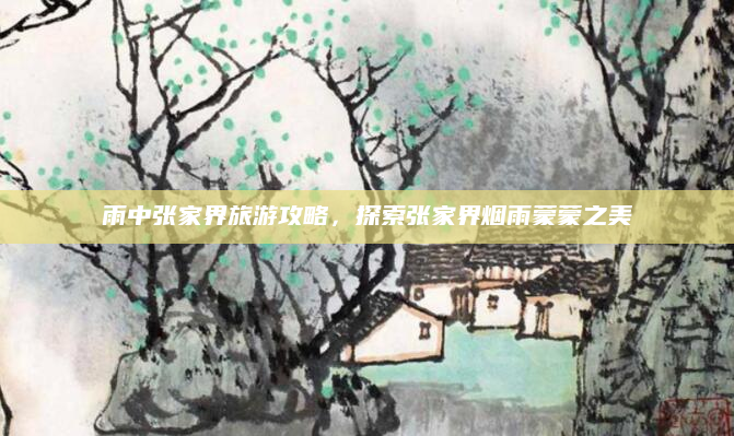 雨中张家界旅游攻略,探索张家界烟雨蒙蒙之美