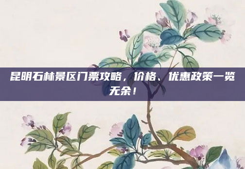 昆明石林景区门票攻略,价格、优惠政策一览无余!