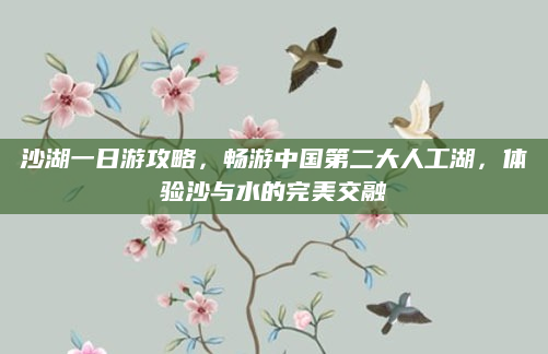 沙湖一日游攻略,畅游中国第二大人工湖,体验沙与水的完美交融