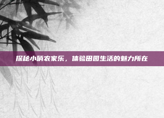 探秘小哨农家乐,体验田园生活的魅力所在