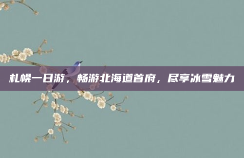 札幌一日游,畅游北海道首府,尽享冰雪魅力